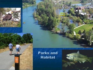 Delta
            Ponds




                    Raptor Views
Parks and
 Habitat
 