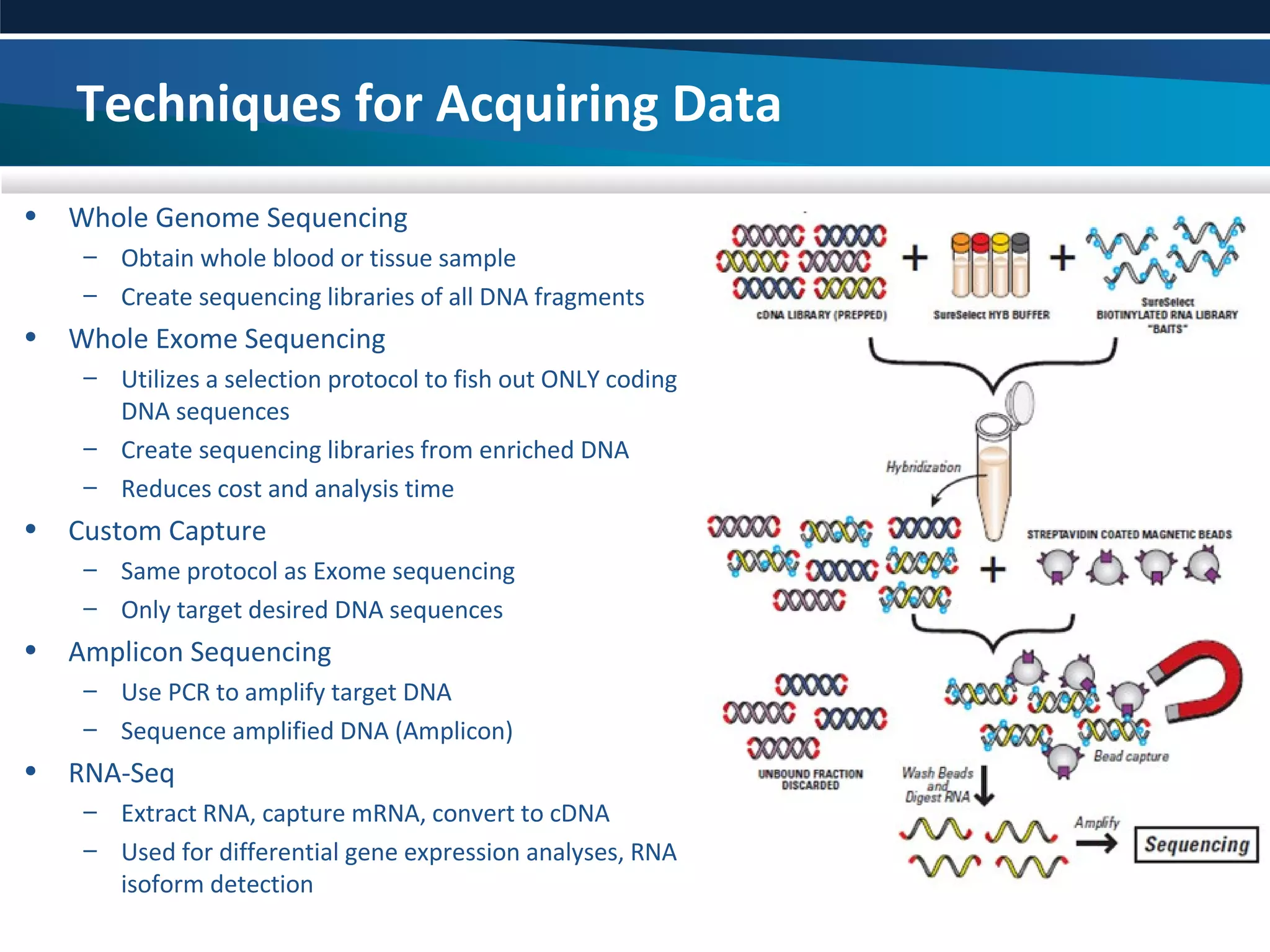 High Throughput Sequencing Technologies: What We Can Know | PPT
