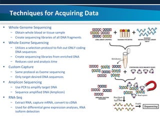 High Throughput Sequencing Technologies: What We Can Know | PPT