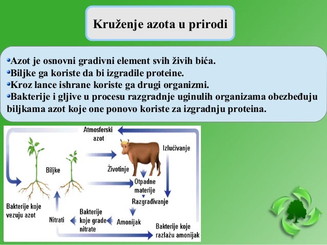 Kruženje materije i proticanje energije