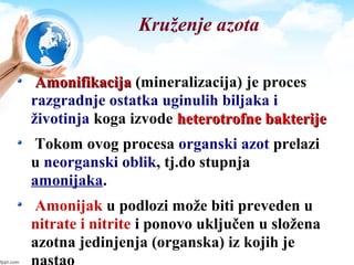 Kruženje azota
AmonifikacijaAmonifikacija (mineralizacija) je proces
razgradnje ostatka uginulih biljaka i
životinja koga izvode heterotrofne bakterijeheterotrofne bakterije
Tokom ovog procesa organski azot prelazi
u neorganski oblik, tj.do stupnja
amonijaka.
Amonijak u podlozi može biti preveden u
nitrate i nitrite i ponovo uključen u složena
azotna jedinjenja (organska) iz kojih je
 