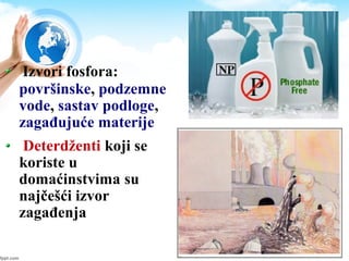 Izvori fosfora:
površinske, podzemne
vode, sastav podloge,
zagađujuće materije
Deterdženti koji se
koriste u
domaćinstvima su
najčešći izvor
zagađenja
 