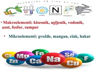 Mikroelementi: gvožđe, mangan, cink, bakar
Makroelementi: kiseonik, ugljenik, vodonik,
azot, fosfor, sumpor
 