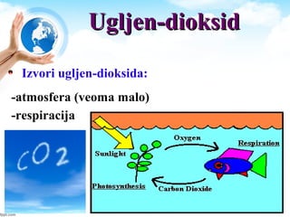 Ugljen-dioksidUgljen-dioksid
Izvori ugljen-dioksida:
-atmosfera (veoma malo)
-respiracija
 