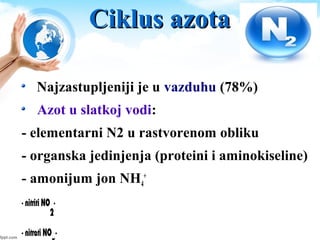 Ciklus azotaCiklus azota
Najzastupljeniji je u vazduhu (78%)
Azot u slatkoj vodi:
- elementarni N2 u rastvorenom obliku
- organska jedinjenja (proteini i aminokiseline)
- amonijum jon, nitriti, nitrati
 