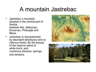 A mountain Jastrebac
•   Jastrebac a mountain
    situated in the central part of
    Serbia,
    between Nis, Aleksinac,
    Krusevac, Prokuplje and
    Blace.
•   Jastrebac is characterized
    by abundant deciduous and co
    niferous forest. By the beauty
    of the reserve stand of
    white birch, and
    numerous streams, springs
    and streams.
 