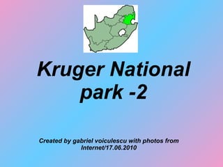 Kruger National park -2 Created by gabriel voiculescu with photos from Internet/17.06.2010 