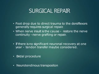 SURGICAL REPAIR
• Foot drop due to direct trauma to the dorsiflexors
generally requires surgical repair
.
• When nerve insult isthe cause - restore the nerve
continuity - nerve grafting or repair.
• If there isno significant neuronal recovery at one
year - tendon transfer maybe considered.
• Bridal procedure
• Neurotendinous transpositon
 