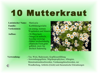 10 Mutterkraut Lateinischer Name:   Matricaria Familie:   Korbblütengewächs Vorkommen: - an  sonnig, warmen  Wegrändern und Mauern Aufbau: - 30-90cm hoch - Stängel ist aufrecht,    buschig verzweigt - Blätter wechselständig,   elliptische Form,grün-   gelblich, zwei- bis    dreifach fiederteilig Verwendung:  -  Tee, Wein, Badezusatz, Kopfkissenfüllung - Anwendungsgebiete: Migräneprophylaxe, Allergien,    Menstruationsbeschwerden, Verdauungsbeschwerden, zur    Wundheilung, Arthritis (Gicht) und rheumatische Erkrankungen 