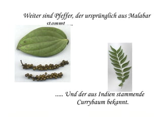 Weiter sind Pfeffer, der ursprünglich aus Malabar stammt ....      ..... Und der aus Indien stammende  Currybaum bekannt. 