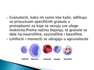 



Granulociti, kako im samo ime kaže, odlikuju
se prisustvom specifičnih granula u
protoplazmi za koje se vezuju sve uloge
leukocita.Prema načinu bojenja, te granule se
dele na:neutrofilne, eozinofilne i bazofilne.
Limfociti i monociti se ubrajaju u agrunulocite

 