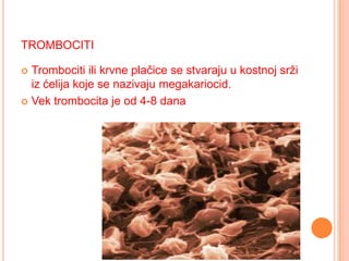 TROMBOCITI
Trombociti ili krvne plačice se stvaraju u kostnoj srži
iz ćelija koje se nazivaju megakariocid.
 Vek trombocita je od 4-8 dana


 