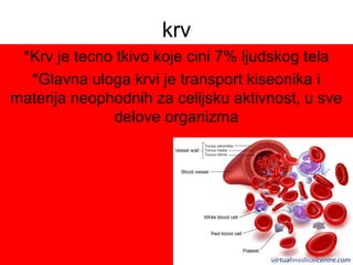 krv
*Krv je tecno tkivo koje cini 7% ljudskog tela
*Glavna uloga krvi je transport kiseonika i
materija neophodnih za celijsku aktivnost, u sve
delove organizma

 