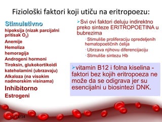 Fiziološki faktori koji utiču na eritropoezu: 
10/28/14 
Svi ovi faktori deluju indirektno 
preko sinteze ERITROPOETINA u 
bubrezima 
Stimuliše proliferaciju opredeljenih 
hematopoetičnih ćelija 
Ubrzava njihovu diferencijaciju 
Stimuliše sintezu Hb 
SSttiimmuullaattiivvnnoo 
hipoksija (nizak parcijalni 
pritisak O2) 
Anemije 
Hemoliza 
hemoragija 
Androgeni hormoni 
Tiroksin, glukokortikoidi 
kateholamini (ubrzavaju) 
Alkaloza (na visokim 
nadmorskim visinama) 
Inhibitorno 
Estrogeni 
vitamin B12 i folna kiselina - 
faktori bez kojih eritropoeza ne 
može da se odigrava jer su 
esencijalni u biosintezi DNK. 
 