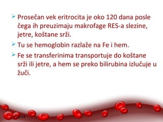  Prosečan vek eritrocita je oko 120 dana posle 
čega ih preuzimaju makrofage RES-a slezine, 
jetre, koštane srži. 
 Tu se hemoglobin razlaže na Fe i hem. 
 Fe se transferinima transportuje do koštane 
srži ili jetre, a hem se preko bilirubina izlučuje u 
žuči. 
10/28/14 
 