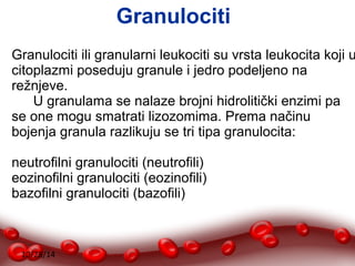 Granulociti ili granularni leukociti su vrsta leukocita koji u 
citoplazmi poseduju granule i jedro podeljeno na 
režnjeve. 
U granulama se nalaze brojni hidrolitički enzimi pa 
se one mogu smatrati lizozomima. Prema načinu 
bojenja granula razlikuju se tri tipa granulocita: 
neutrofilni granulociti (neutrofili) 
eozinofilni granulociti (eozinofili) 
bazofilni granulociti (bazofili) 
10/28/14 
Granulociti 
 