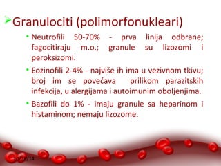 Granulociti (polimorfonukleari) 
• Neutrofili 50-70% - prva linija odbrane; 
fagocitiraju m.o.; granule su lizozomi i 
peroksizomi. 
• Eozinofili 2-4% - najviše ih ima u vezivnom tkivu; 
broj im se povećava prilikom parazitskih 
infekcija, u alergijama i autoimunim oboljenjima. 
• Bazofili do 1% - imaju granule sa heparinom i 
histaminom; nemaju lizozome. 
10/28/14 
 