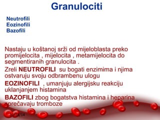 Nastaju u koštanoj srži od mijeloblasta preko 
promijelocita , mijelocita , metamijelocita do 
segmentiranih granulocita . 
Zreli NEUTROFILI su bogati enzimima i njima 
ostvaruju svoju odbrambenu ulogu 
EOZINOFILI , umanjuju alergijsku reakciju 
uklanjanjem histamina 
BAZOFILI zbog bogatstva histamina i heparina 
sprečavaju tromboze 
10/28/14 
Granulociti 
Neutrofili 
Eozinofili 
Bazofili 
 