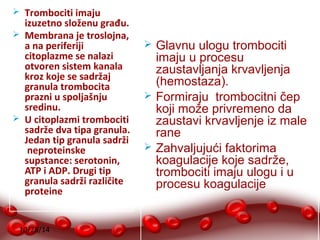  Trombociti imaju 
izuzetno složenu građu. 
 Membrana je troslojna, 
a na periferiji 
citoplazme se nalazi 
otvoren sistem kanala 
kroz koje se sadržaj 
granula trombocita 
prazni u spoljašnju 
sredinu. 
 U citoplazmi trombociti 
sadrže dva tipa granula. 
Jedan tip granula sadrži 
neproteinske 
supstance: serotonin, 
ATP i ADP. Drugi tip 
granula sadrži različite 
proteine 
10/28/14 
 Glavnu ulogu trombociti 
imaju u procesu 
zaustavljanja krvavljenja 
(hemostaza). 
 Formiraju trombocitni čep 
koji može privremeno da 
zaustavi krvavljenje iz male 
rane 
 Zahvaljujući faktorima 
koagulacije koje sadrže, 
trombociti imaju ulogu i u 
procesu koagulacije 
 