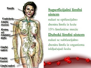 10/28/14 
Superficijalni limfni 
sistem 
nalazi se epifascijalno 
drenira limfu iz kože 
15% limfatične mreže 
Duboki limfni sistem 
nalazi se subfascijalno 
drenira limfu iz organizma 
isključujući kožu 
 