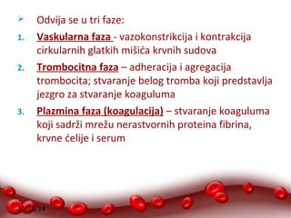 Odvija se u tri faze: 
1. Vaskularna faza - vazokonstrikcija i kontrakcija 
cirkularnih glatkih mišića krvnih sudova 
2. Trombocitna faza – adheracija i agregacija 
trombocita; stvaranje belog tromba koji predstavlja 
jezgro za stvaranje koaguluma 
3. Plazmina faza (koagulacija) – stvaranje koaguluma 
koji sadrži mrežu nerastvornih proteina fibrina, 
krvne ćelije i serum 
10/28/14 
 