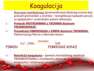 10/28/14 
Koagulacija 
I. Stvaranje trombokinaze (protrombinaze) ključnog enzima koji 
prevodi protrombin u trombin – komplikovan kaskadni proces 
sa spoljašnjim i unutrašnjim putem aktivacije; 
II. Prelazak PROTROMBINA u TROMBIN dejstvom 
TROMBOKINAZE; 
III. Prevođenje FIBRINOGENA u FIBRIN dejstvom TROMBINA. 
Polimerizacija fibrina u fibrinske konce: 
TROMBIN 
Са2+, XIIIa XIII 
FIBRIN FIBRINSKI KONCI 
IV. Retrakcija koaguluma – pomoću kontaktilnog molekula 
TROMBOSTENINA iz trombocita dolazi do skupljanja 
koaguluma i istiskivanja seruma. 
 