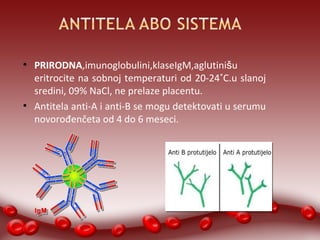 ● PRIRODNA,imunoglobulini,klaseIgM,aglutinišu 
eritrocite na sobnoj temperaturi od 20-24˚C.u slanoj 
sredini, 09% NaCl, ne prelaze placentu. 
● Antitela anti-A i anti-B se mogu detektovati u serumu 
novorođenčeta od 4 do 6 meseci. 
 