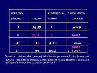 Genotip – označava skup gena,koji određuju antigene na eritrocitnoj membrani. 
FENOTIP jedne osobe predstavlja izbor antigena koji su dokazani u serološkim 
reakcijama sa serumima poznatih specifičnosti 
 