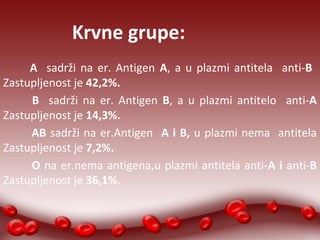 Krvne grupe: 
A sadrži na er. Antigen A, a u plazmi antitela anti-B 
Zastupljenost je 42,2%. 
B sadrži na er. Antigen B, a u plazmi antitelo anti-A 
Zastupljenost je 14,3%. 
AB sadrži na er.Antigen A i B, u plazmi nema antitela 
Zastupljenost je 7,2%. 
O na er.nema antigena,u plazmi antitela anti-A i anti-B 
Zastupljenost je 36,1%. 
 