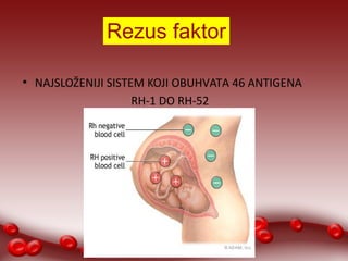 Rezus faktor 
● NAJSLOŽENIJI SISTEM KOJI OBUHVATA 46 ANTIGENA 
RH-1 DO RH-52 
 