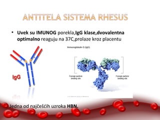 ● Uvek su IMUNOG porekla,IgG klase,dvovalentna 
optimalno reaguju na 37C,prolaze kroz placentu 
Jedna od najčešćih uzroka HBN. 
 