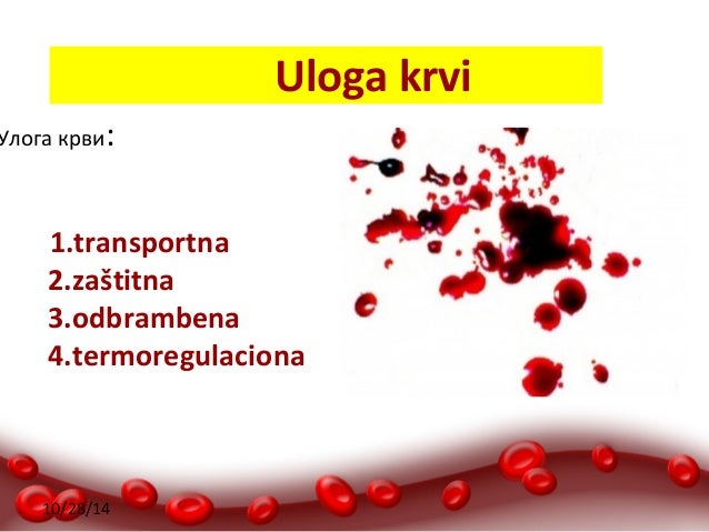 Krv