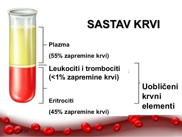 Krv