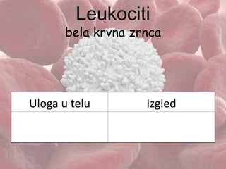 Leukociti
bela krvna zrnca
Uloga u telu Izgled
 