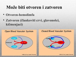 Može biti otvoren i zatvoren

Otvoren-hemolimfa

Zatvoren (člankoviti crvi, glavonošci,
kičmenjaci)
 