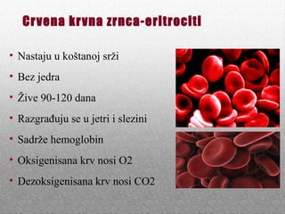 Crvena krvna zrnca-eritrociti
• Nastaju u koštanoj srži
• Bez jedra
• Žive 90-120 dana
• Razgrađuju se u jetri i slezini
• Sadrže hemoglobin
• Oksigenisana krv nosi O2
• Dezoksigenisana krv nosi CO2
 