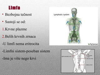 Limfa
• Bezbojna tečnost
• Sastoji se od:
1.Krvne plazme
2.Belih krvnih zrnaca
-U limfi nema eritrocita
-Limfni sistem-poseban sistem
-Ima je više nego krvi
 