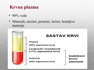 Krvna plazma

90% vode

Minerali, enzimi, proteini, šećeri, hranljive
materije
 