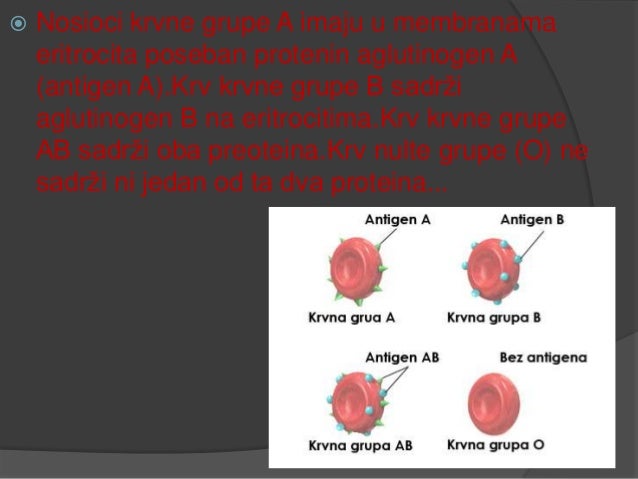 Krvne Grupe Valerija I 5 Krvne Grupe Valerija I 5