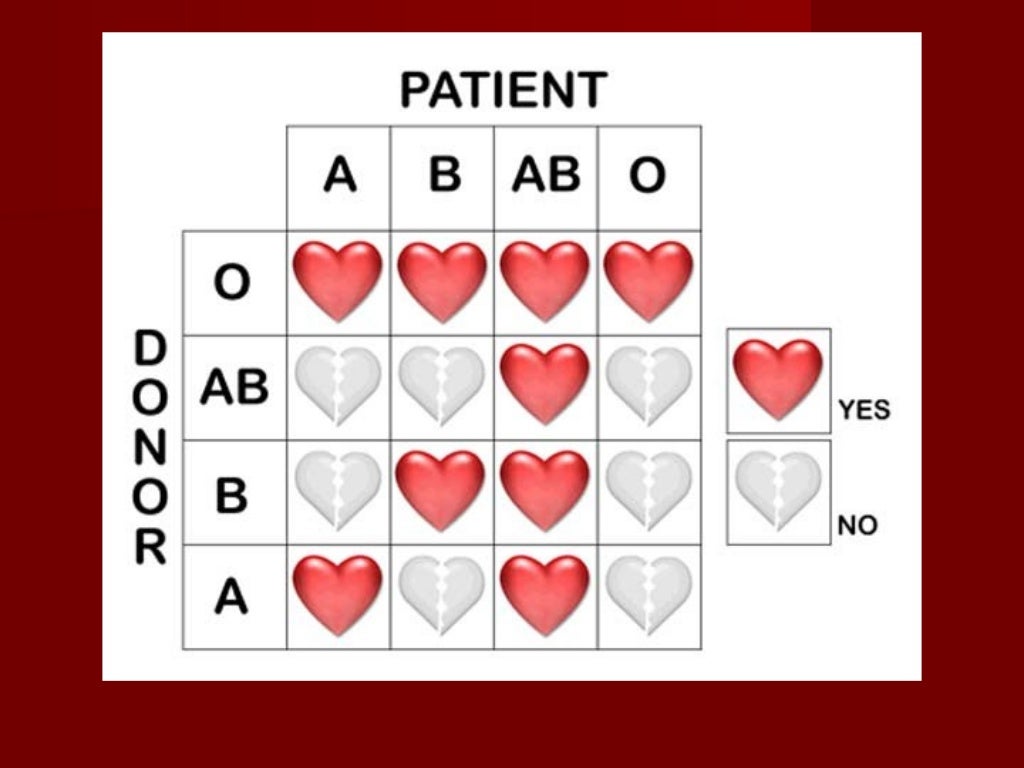 Krvne grupe natalija savcic i3