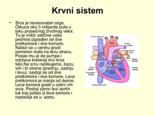 Krvni sistem
•

Srce je neverovatan orga.
Otkuca oko 3 milijarde puta u
toku prosečnog životnog veka.
To je mišić veličine vaše
pesnice,izgrađen od dve
pretkomore i dve komore.
Nalazi se u centru grudi
pomeren malo na levu stranu.
Posao mu je da pumpa i
održava kretanje krvi kroz
telo.Na srcu razlikujemo, bazu,
vrh i tri strane (prednju, zadnju
i levu). sastoji se od dve
pretkomore i dve komore. Leva
pretkomora je manja od desne.
Leva komora gradi u celini vrh
srca. Postoji samo levi aortin
luk koji polazi iz leve komore i
nastavlja se u aortu.

 