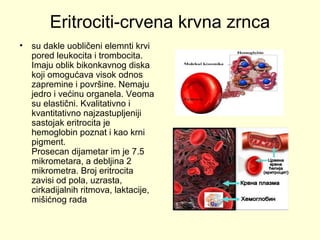 Eritrociti-crvena krvna zrnca
•

su dakle uobličeni elemnti krvi
pored leukocita i trombocita.
Imaju oblik bikonkavnog diska
koji omogućava visok odnos
zapremine i površine. Nemaju
jedro i većinu organela. Veoma
su elastični. Kvalitativno i
kvantitativno najzastupljeniji
sastojak eritrocita je
hemoglobin poznat i kao krni
pigment.
Prosecan dijametar im je 7.5
mikrometara, a debljina 2
mikrometra. Broj eritrocita
zavisi od pola, uzrasta,
cirkadijalnih ritmova, laktacije,
mišićnog rada

 