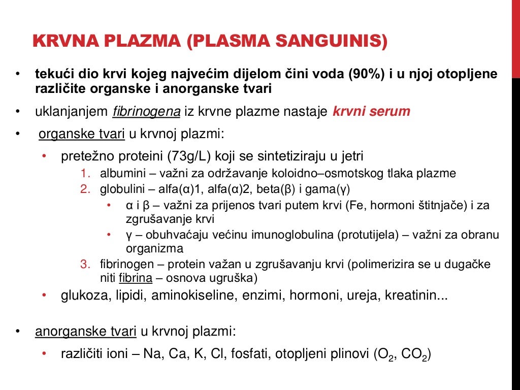 Krvni sustav