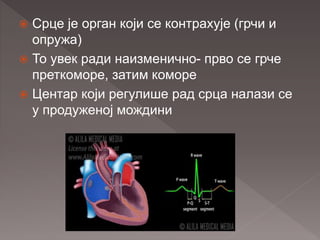  Срце је орган који се контрахује (грчи и
опружа)
 То увек ради наизменично- прво се грче
преткоморе, затим коморе
 Центар који регулише рад срца налази се
у продуженој мождини
 
