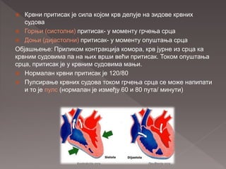  Крвни притисак је сила којом крв делује на зидове крвних
судова
 Горњи (систолни) притисак- у моменту грчења срца
 Доњи (дијастолни) притисак- у моменту опуштања срца
Објашњење: Приликом контракција комора, крв јурне из срца ка
крвним судовима па на њих врши већи притисак. Током опуштања
срца, притисак је у крвним судовима мањи.
 Нормалан крвни притисак је 120/80
 Пулсирање крвних судова током грчења срца се може напипати
и то је пулс (нормалан је између 60 и 80 пута/ минути)
 