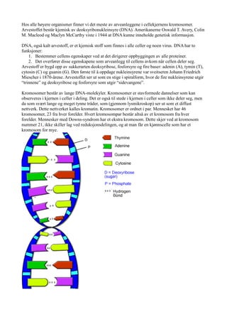 Hos alle høyere organismer finner vi det meste av arveanleggene i cellekjernens kromosomer.
Arvestoffet består kjemisk av deoksyribonukleinsyre (DNA). Amerikanerne Oswald T. Avery, Colin
M. Macleod og Maclyn McCarthy viste i 1944 at DNA kunne inneholde genetisk informasjon.

DNA, også kalt arvestoff, er et kjemisk stoff som finnes i alle celler og noen virus. DNA har to
funksjoner:
    1. Bestemmer cellens egenskaper ved at det dirigerer oppbyggingen av alle proteiner.
    2. Det overfører disse egenskapene som arveanlegg til cellens avkom når cellen deler seg.
Arvestoff er bygd opp av sukkerarten deoksyribose, fosforsyre og fire baser: adenin (A), tymin (T),
cytosin (C) og guanin (G). Den første til å oppdage nukleinsyrene var sveitseren Johann Friedrich
Miescher i 1870-årene. Arvestoffet ser ut som en stige i spiralform, hvor de fire nukleinsyrene utgir
“trinnene” og deoksyribose og fosforsyre som utgir “sidevangene”.

Kromosomer består av lange DNA-molekyler. Kromosomer er stavformede dannelser som kan
observeres i kjernen i celler i deling. Det er også til stede i kjernen i celler som ikke deler seg, men
da som svært lange og meget tynne tråder, som (gjennom lysmikroskop) ser ut som et diffust
nettverk. Dette nettverket kalles kromatin. Kromosomer er ordnet i par. Mennesket har 46
kromosomer, 23 fra hver forelder. Hvert kromosompar består altså av et kromosom fra hver
forelder. Mennesker med Downs-syndrom har et ekstra kromosom. Dette skjer ved at kromosom
nummer 21, ikke skiller lag ved reduksjonsdelingen, og at man får en kjønnscelle som har et
kromosom for mye.
 