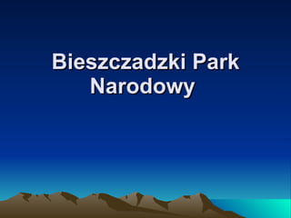 Bieszczadzki Park Narodowy   