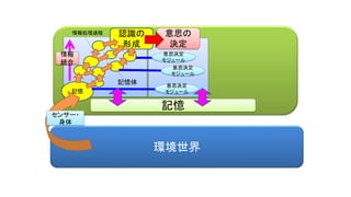 環境世界
認識の
形成
記憶
意思の
決定
センサー・
身体
意思決定
モジュール
意思決定
モジュール
意思決定
モジュール
記憶体
情報処理過程
情報
統合
記憶
 
