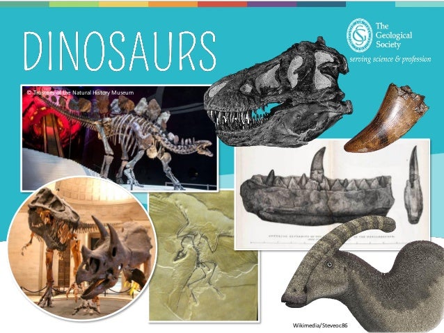 dinosaur presentation ideas