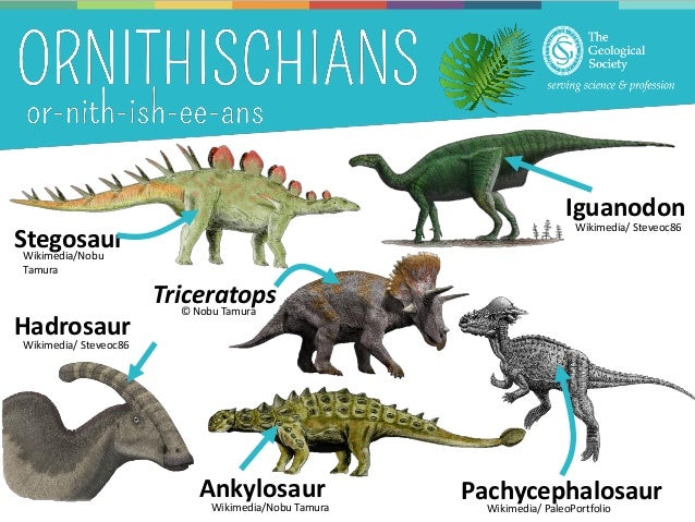 dinosaur presentation ideas